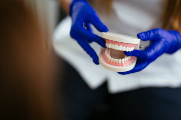Best Preventive Dentistry  in Moulton, AL